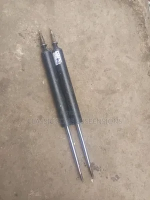 BMW 318i Back Shocks.