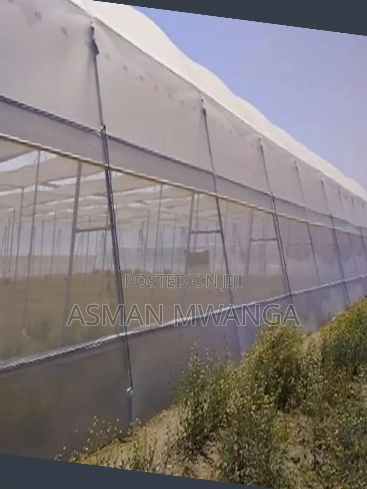 Agricultural Ant-Insect Net 2.5m×50m