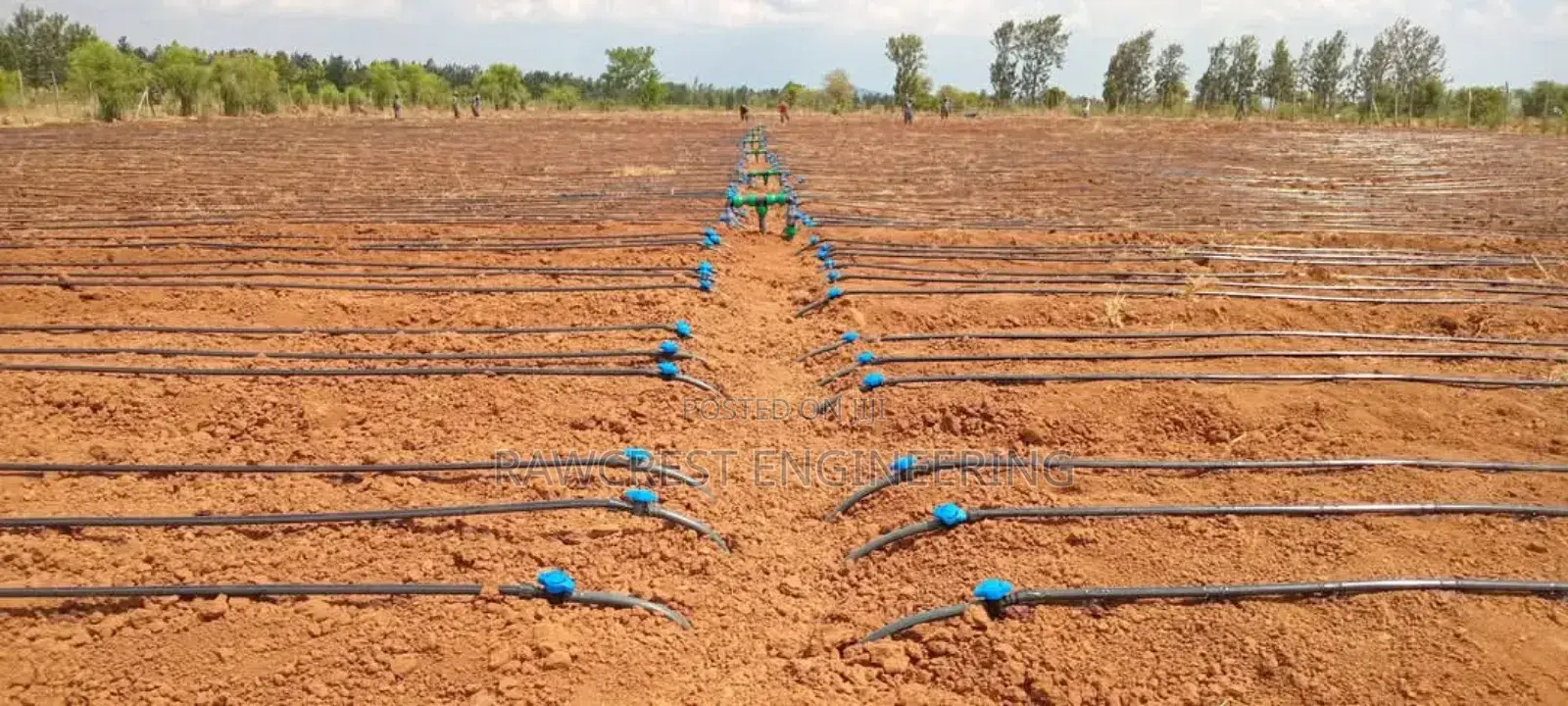 Drip Irrigation System