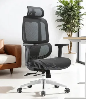 Flexon Ergonomic Chair