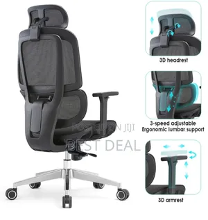 Flexon Ergonomic Chair