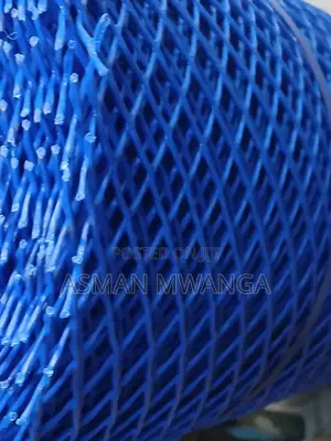Plastic Chicken Mesh Holes Size 25mm×25mm