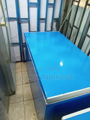 Perfect Deep Freezer Fridge