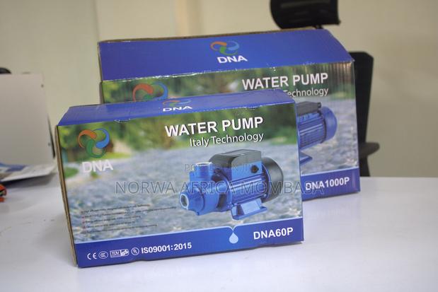 Domestic Pumps (Dna 60p Dna 1000p)
