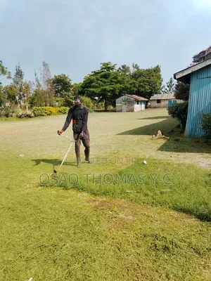 Landscaping and Grass Cutting