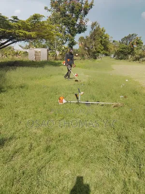 Landscaping and Grass Cutting
