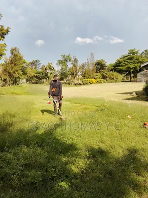 Landscaping and Grass Cutting
