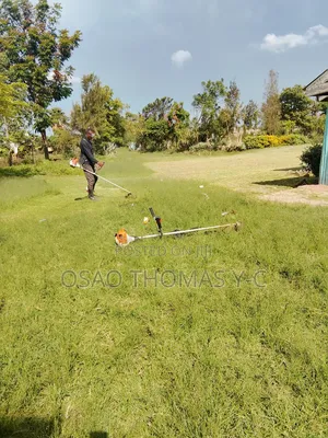 Landscaping and Grass Cutting