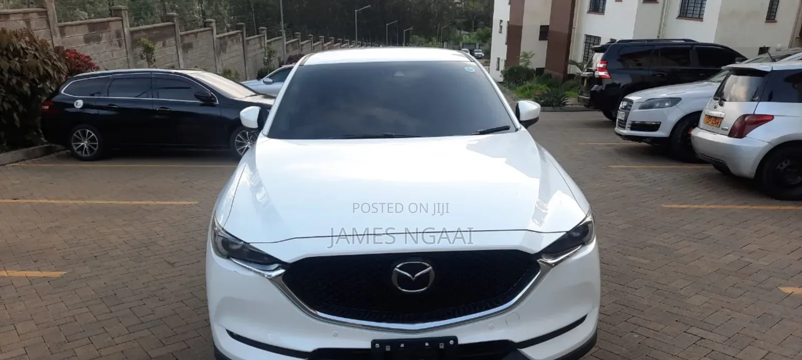 3m Car Tinting (Whole Car)