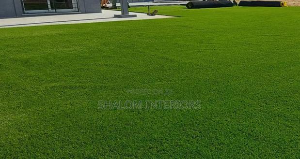 Green1 Grasscarpet0 - main view