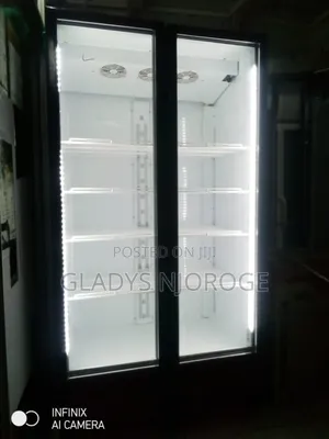 Show Case Display Fridge 1200l