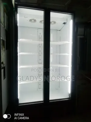 Show Case Display Fridge 1200l