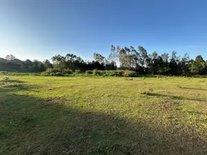 Karen-Dagorreti Road 2.3acres Next to Fadhili Gardens
