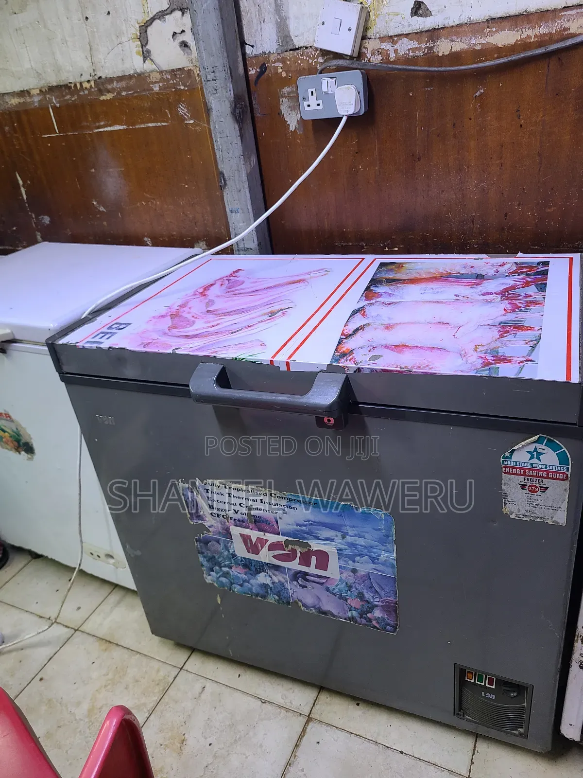 Silver Commercial Deep Freezer