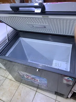 Silver Commercial Deep Freezer