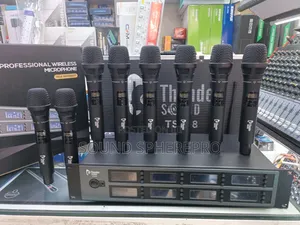 Thunder Sound Ts208 8in1 Wireless Microphone