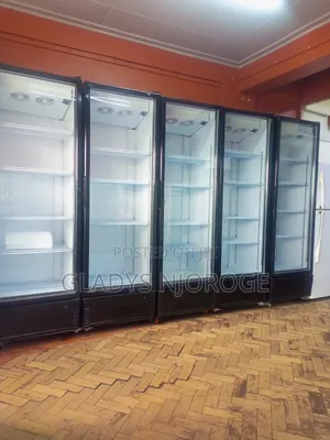High Quality Display Fridge