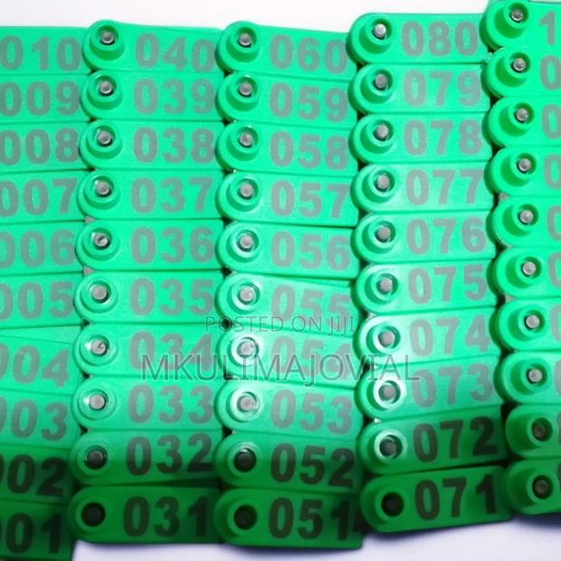 Long Lasting Animal(Goat/Sheep) Ear Tags
