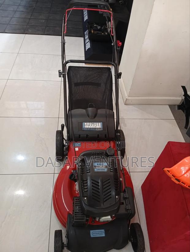 Lawn Mower Self Propelled 6 Hp Astramilano