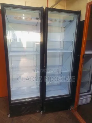 Display Fridge 600l