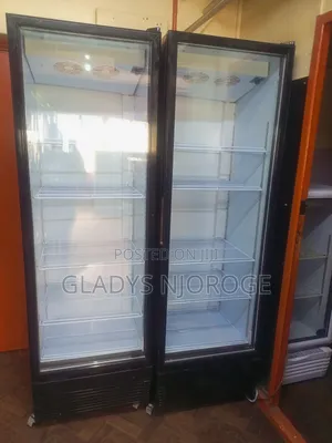 Display Fridge 600l