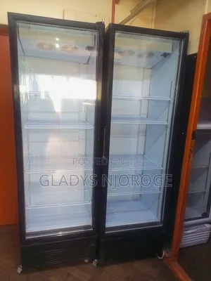 Display Fridge 600l
