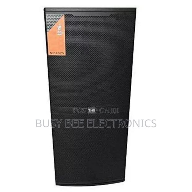 Trill Np4025 _ (15′′*2) Audio Professional - main view