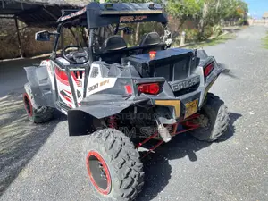 Polaris 2014 White