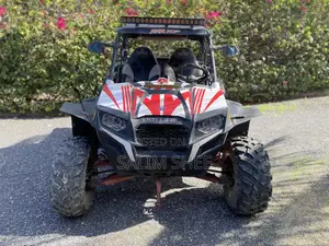 Polaris 2014 White