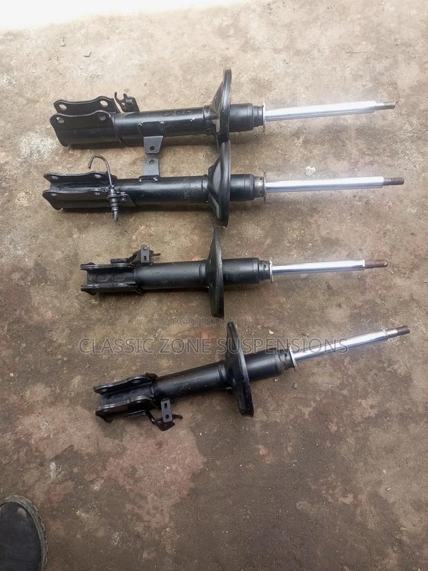 Premio Nyoka Shocks.