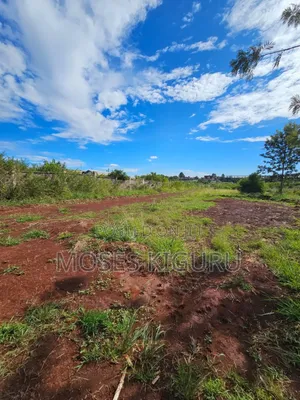 Thika Greens 1/4 Plots.