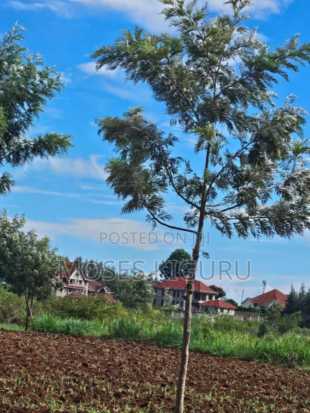 Thika Greens 1/4 Plots. - thumbnail 3