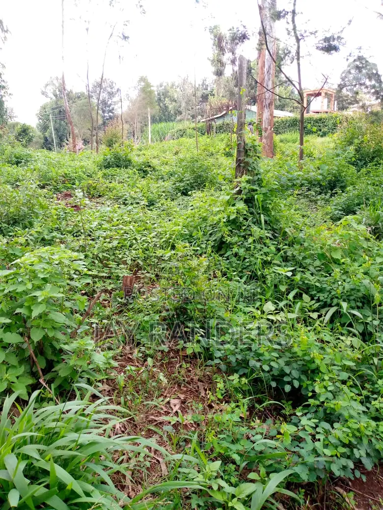 1/4 Acre Land at Uthiru .Josa Gardens