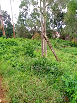 1/4 Acre Land at Uthiru .Josa Gardens