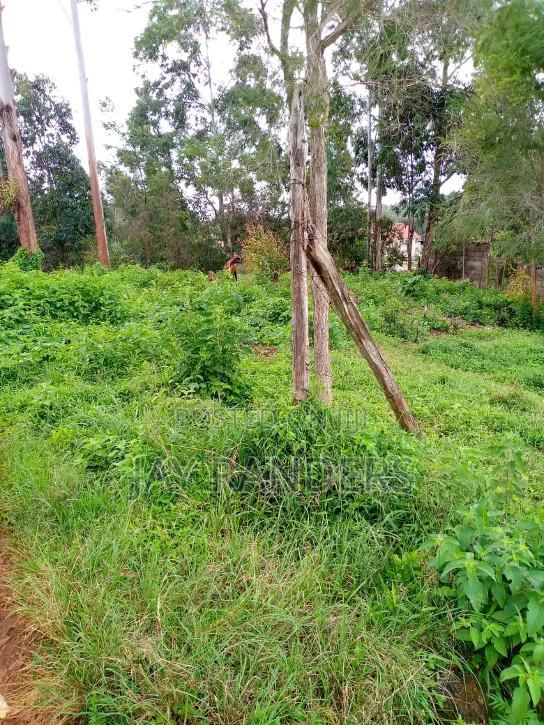 1/4 Acre Land at Uthiru .Josa Gardens