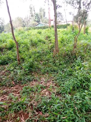1/4 Acre Land at Uthiru .Josa Gardens