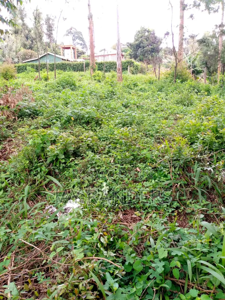 1/4 Acre Land at Uthiru .Josa Gardens