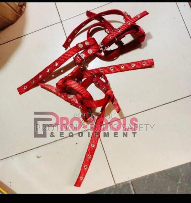 Climber Red Strap