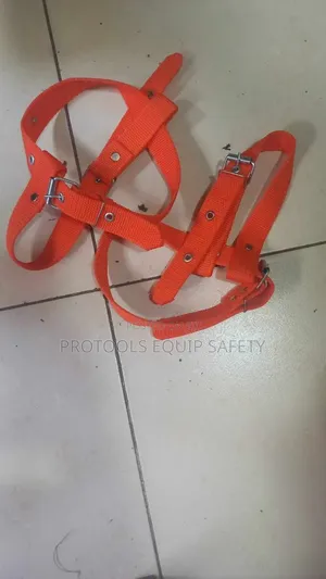 Concrete Orange Straps