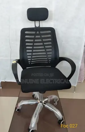 Office Chair Secretarial Mesh, Egonormic