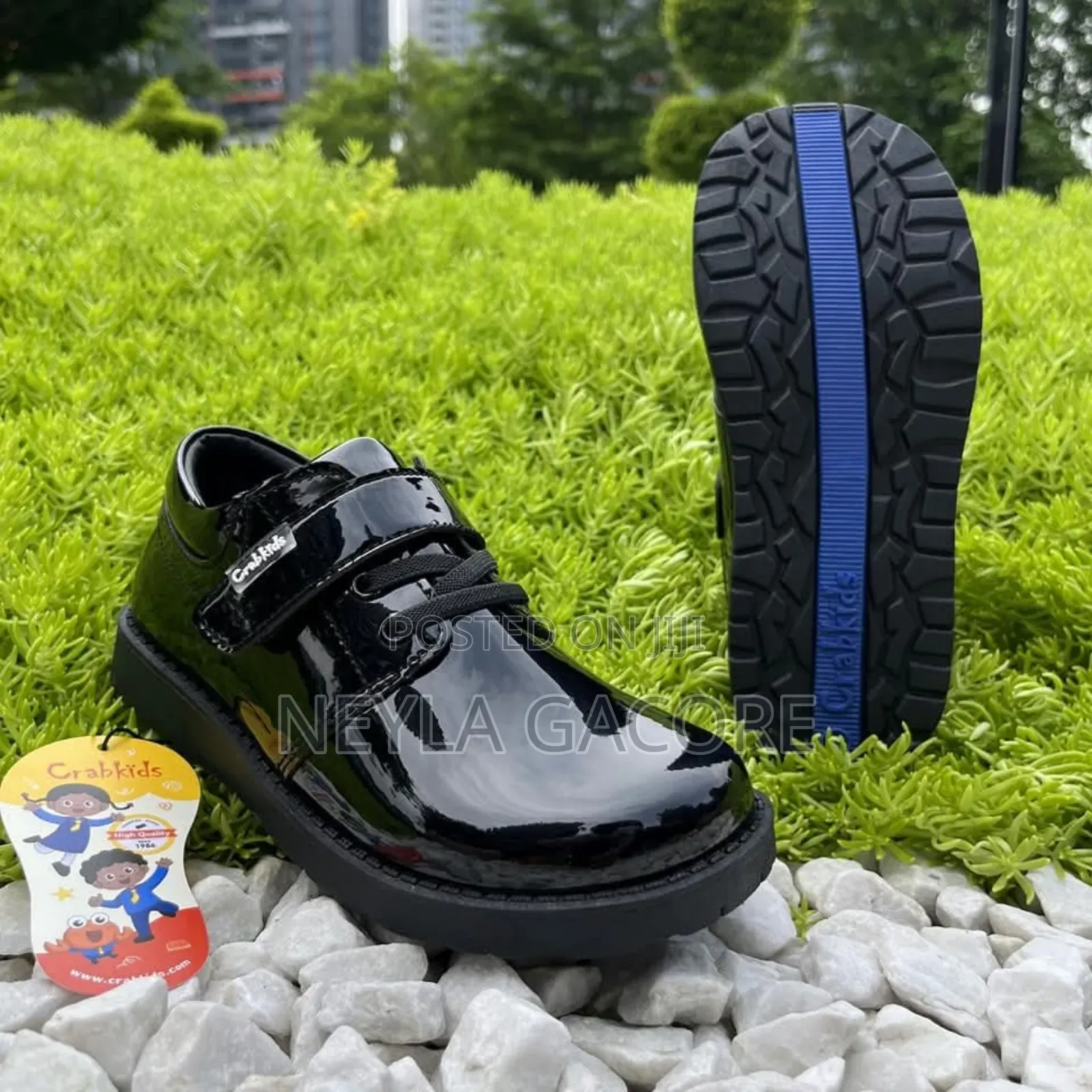 Crabkids School Shoes