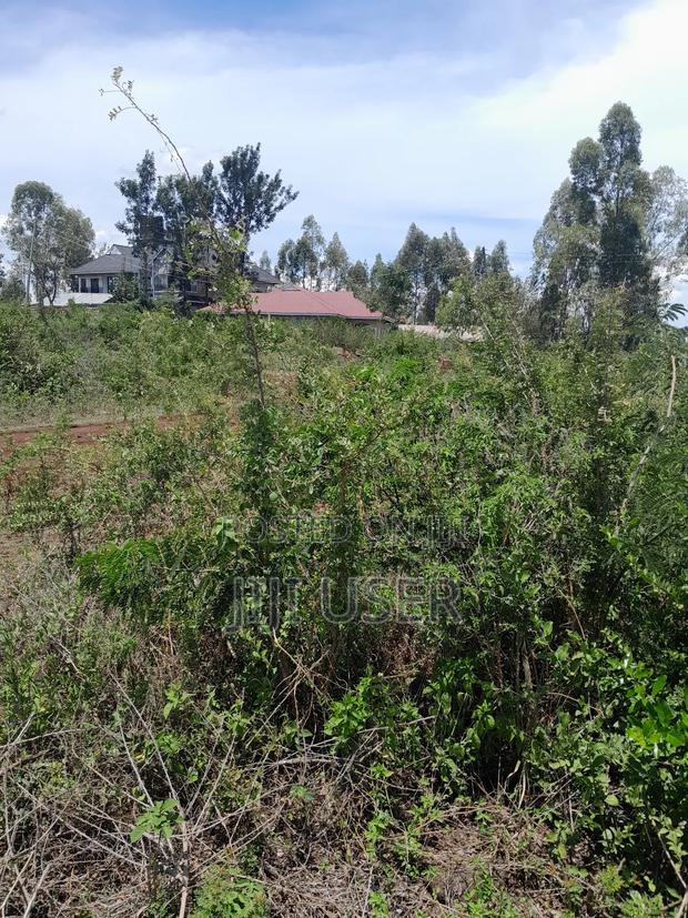 Prime 0.20ha in Homa Bay 100m From the Rongo- Homa Bay Road - thumbnail 4
