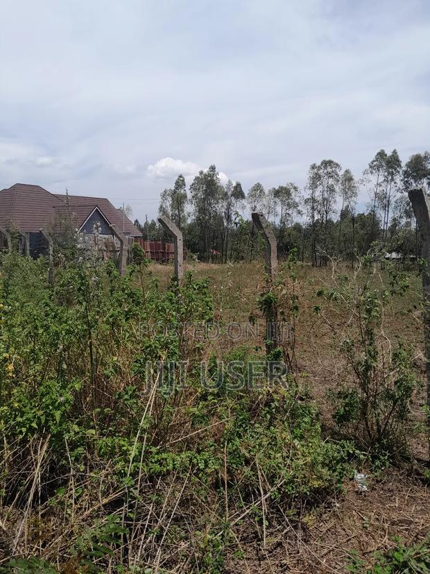 Prime 0.20ha in Homa Bay 100m From the Rongo- Homa Bay Road - thumbnail 5
