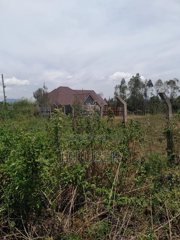 Prime 0.20ha in Homa Bay 100m From the Rongo- Homa Bay Road - thumbnail 7