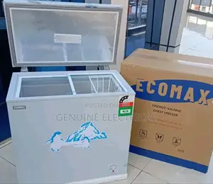 Ecomax 169ltr Chest Freezer With Ice Brick Pack Cooler