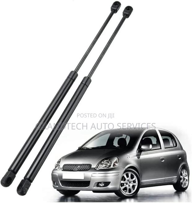 Yris /Vitz Jewela Boot Shocks.