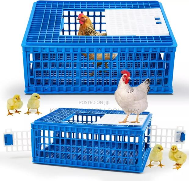 Chicken Crate - main view