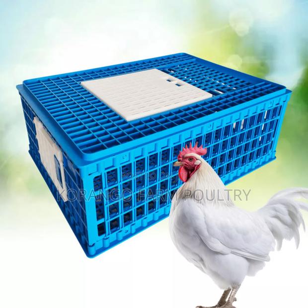 Chicken Crate - thumbnail 2