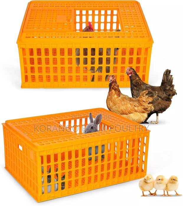 Chicken Cages - main view