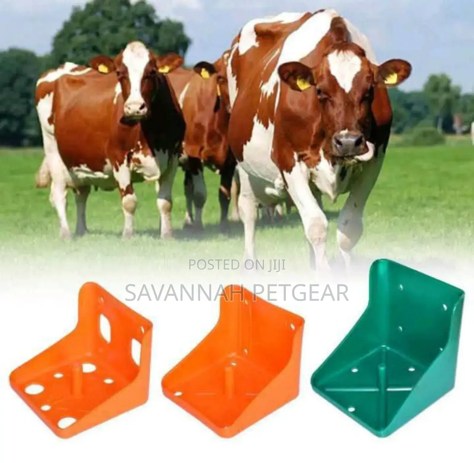 Green Salt Block Holders for Livestock